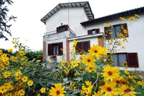 a house with yellow flowers in front of it at Stella Polare B&B in Rieti