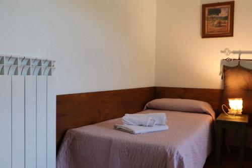 a bedroom with a bed with two towels on it at Appartamenti Capenti in Arcidosso