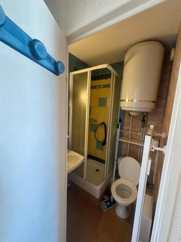 a small bathroom with a toilet and a shower at Le shuss 4 la foux d'allos in La Foux
