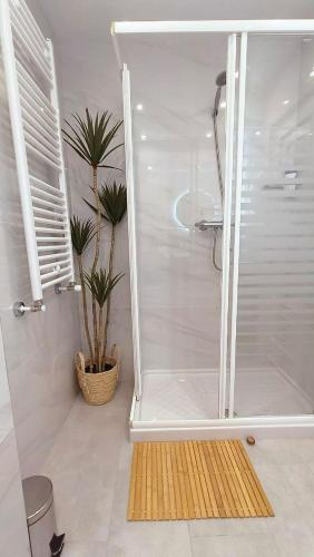 a bathroom with a shower with a plant in it at Mar y Sol in Bermeo