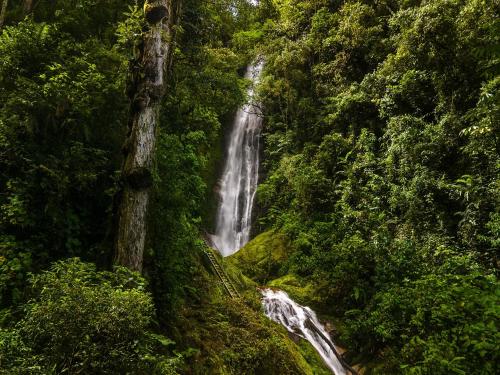 a waterfall in the middle of a forest at Talamanca Nature Reserve in Rivas