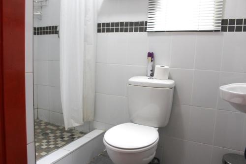 Baño blanco con aseo y lavamanos en El DiVino Guesthouse, en Newcastle