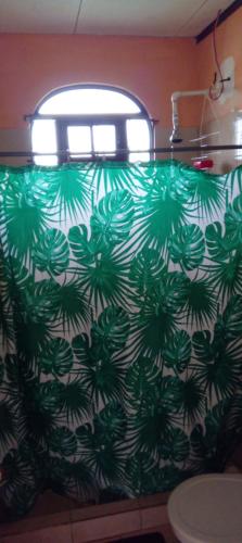 cortina de ducha verde y blanca en el baño en Apartamentos HJJ, en Puerto Limón