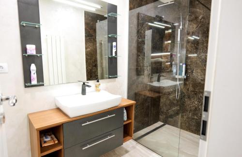 La salle de bains est pourvue d'un lavabo et d'une douche. dans l'établissement Casa Maria, à Sibiu