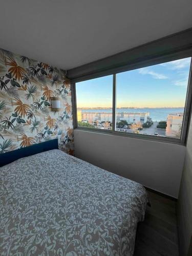 une chambre avec un lit et une grande fenêtre dans l'établissement Joli appart/Vue étang/Clim /Wifi, à Balaruc-les-Bains