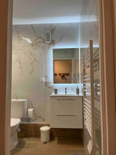 une salle de bain avec un lavabo, des toilettes et un miroir dans l'établissement Joli appart/Vue étang/Clim /Wifi, à Balaruc-les-Bains