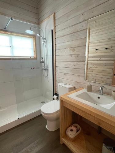 a bathroom with a toilet and a shower and a sink at Cabaña Azul in Riñinahue