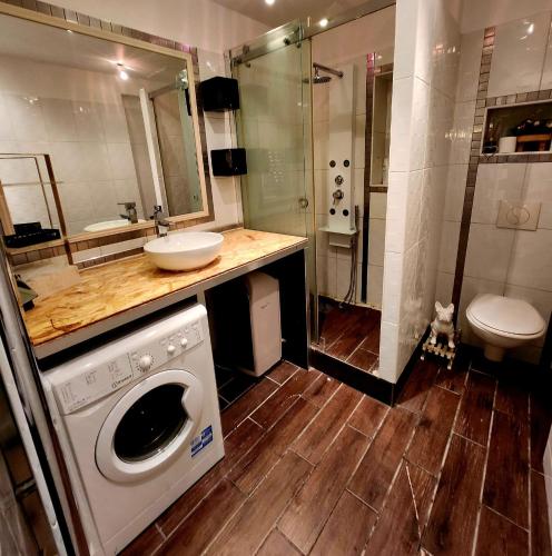 une salle de bain avec un lavabo et une machine à laver dans l'établissement Lagny sur marne, à Lagny-sur-Marne