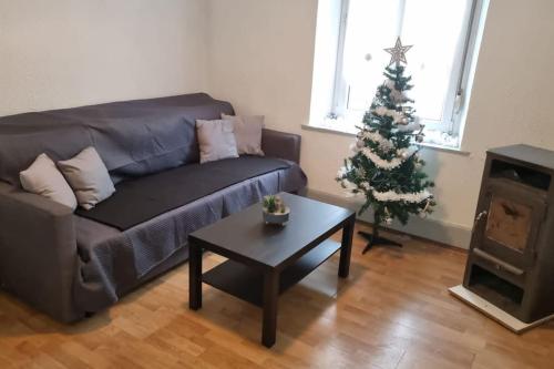 a living room with a couch and a christmas tree at Charmant logis Gérardmer in Gérardmer