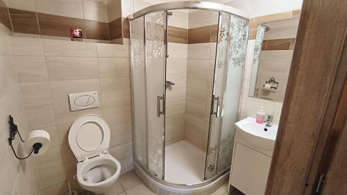 een badkamer met een douche, een toilet en een wastafel bij Penzion Bernardo 