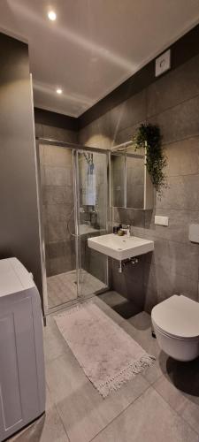 a bathroom with a shower and a sink and a toilet at Albatross Green Apartment in Ķesterciems