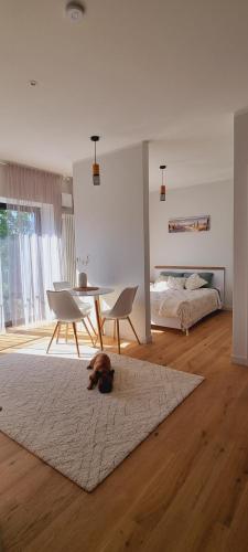 uma sala de estar com um cão deitado num tapete em Albatross Green Apartment em Ķesterciems