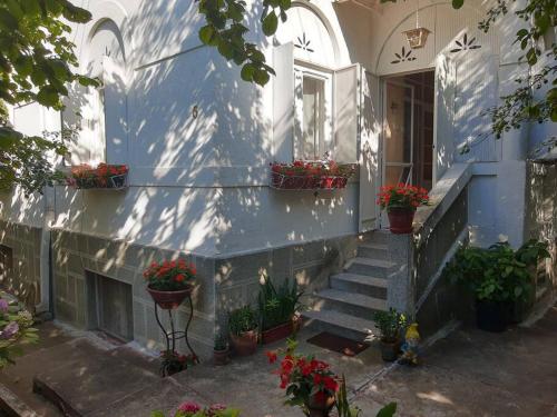 um edifício azul com vasos de plantas nas escadas em Apartment Milinkovic em Kovanluk