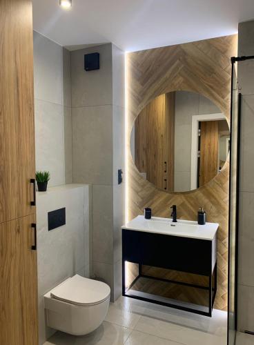 a bathroom with a sink and a toilet and a mirror at Charming Apartments - Ski Arena Szrenica in Szklarska Poręba