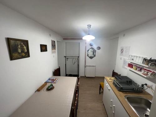 eine Küche mit einer Spüle und einer Arbeitsplatte in der Unterkunft Smeštaj Milinković in Kovanluk