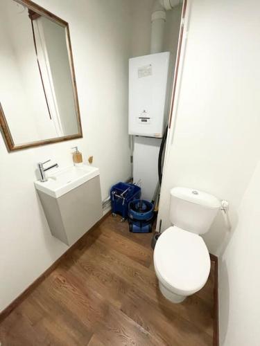 Photo de la galerie de l'établissement Grand appartement calme et lumineux, à Villeurbanne