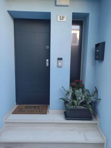 a blue door with a potted plant in front of it at SANT'AGOSTINO in Comacchio