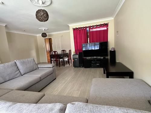 ein Wohnzimmer mit einem Sofa und einem Flachbild-TV in der Unterkunft At holiday house in Woollamia