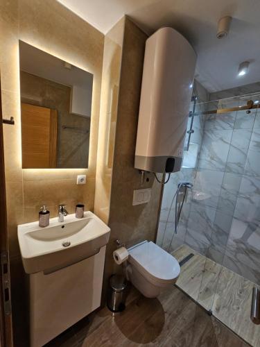 ein Badezimmer mit Toilette, Waschbecken und Dusche in der Unterkunft Dream Luxury Jahorina in Jahorina