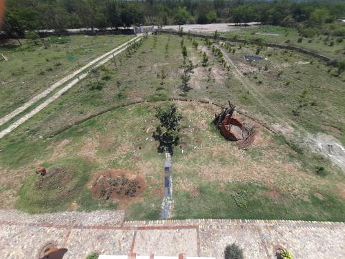 una vista aérea de un campo con un árbol en Vedic Farms, en Garhshankar