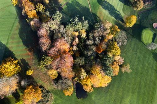 an aerial view of a group of trees in a field at Delta Hotels by Marriott Breadsall Priory Country Club in Derby