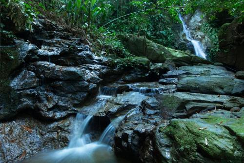 a waterfall in a forest with rocks and trees at Homestay Khoáng nóng Thông Nguyên in Nam Giang
