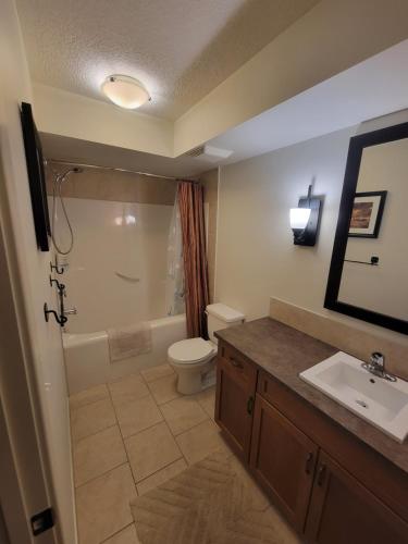 a bathroom with a toilet and a sink at Rocky Mountain Getaway in Canmore