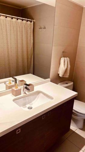 La salle de bains est pourvue d'un lavabo, de toilettes et d'un miroir. dans l'établissement Apartamento en Las Condes frente a parque araucano, à Santiago