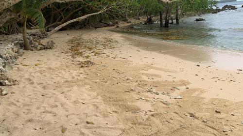 Gallery image of Eco Dive Vanuatu Bungalows & Backpackers in Vitouara