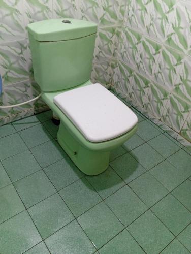 a green toilet in a bathroom with a wall at NMA Holiday Inn in Jaffna