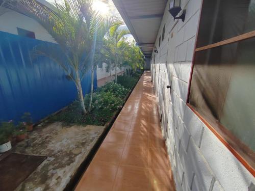 un pasillo de un edificio con palmeras en el lateral en Hospedaje Los Jazmines de Santa Rosa en Tarapoto