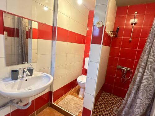 y baño con lavabo y aseo. en Appartement Schwanenstadt 