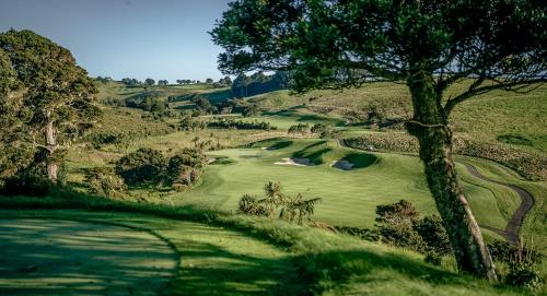 a view of a golf course with a tree at Rosewood Kauri Cliffs in Matauri Bay