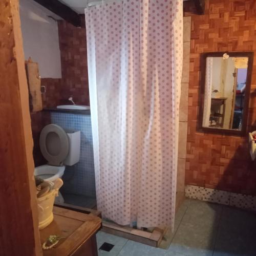 a bathroom with a toilet and a shower curtain at Casa estilo cabaña in El Bolsón