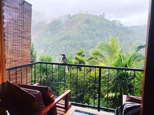 a bird sitting on a balcony looking at a mountain at Country Homes in Ella