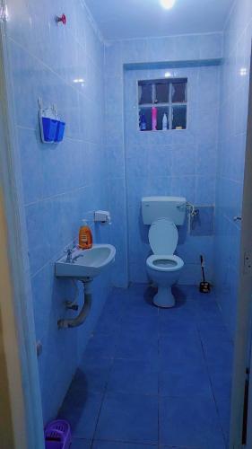 a blue bathroom with a toilet and a sink at Nabbynates bnbs in Eldoret