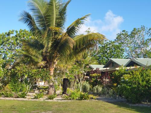 a palm tree in front of a house at Eco Dive Vanuatu Bungalows & Backpackers in Vitouara