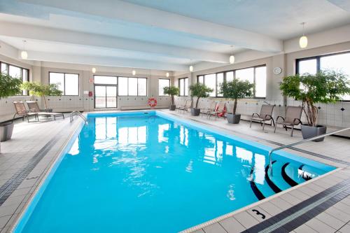 een groot zwembad met blauw water in een hotelkamer bij L'Appartement Hôtel in Montreal