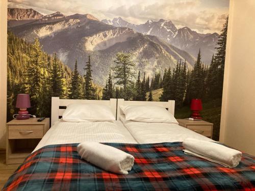1 dormitorio con 1 cama con un mural de montaña en la pared en Szczyrkowskie SKI & FUN z widokiem na góry sauna, jacuzzi, en Szczyrk