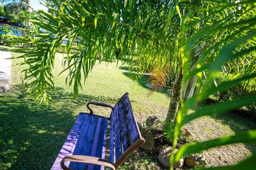 a blue bench sitting in the shade of a tree at Heimanarii's Lodge - Fare Opuhi in Haapiti