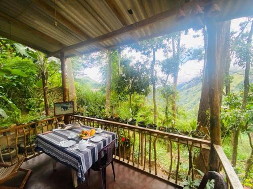 a table on a balcony with a view of the forest at Hidden Gem Inn in Ella