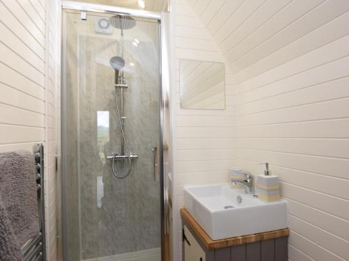 y baño con ducha y lavamanos. en 1 Bed in Teviothead 75347, en Hawick
