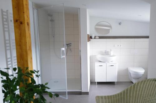 uma casa de banho com um chuveiro, um WC e um lavatório. em NEU! Ferienwohnung Ostseebeere em Groß Zastrow