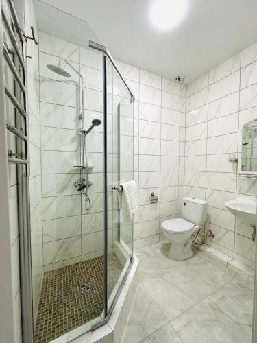 a bathroom with a shower and a toilet and a sink at Salut in Bukovel