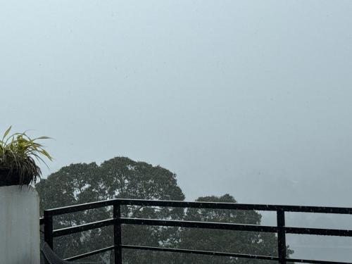 a black fence with a tree in the background at Sky Heaven Hotel in Kandy