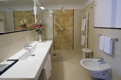 La salle de bains est pourvue d'un lavabo, de toilettes et d'une douche. dans l'établissement Parkhotel Ladinia, à San Vito di Cadore