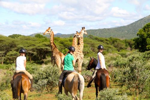 a group of people riding horses and giraffes at Shayamoya Tiger Fishing and Game Lodge in Pongola Game Reserve