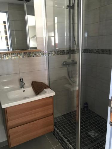 La salle de bains est pourvue d'un lavabo et d'une douche. dans l'établissement Jolie maisonnette, à Auxerre