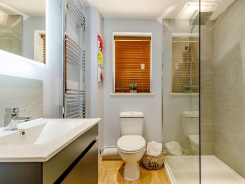 een badkamer met een toilet, een wastafel en een douche bij 2 bed in Stanton-by-Bridge 87408 