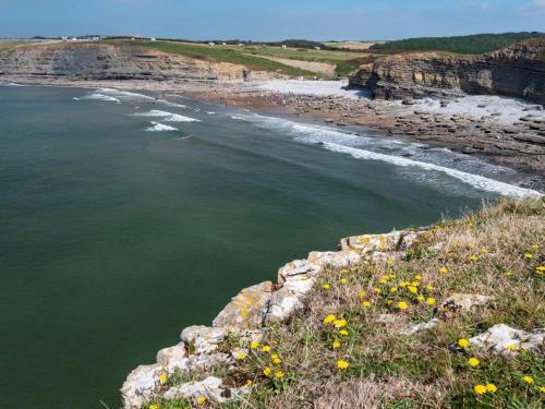 a view of the ocean and a rocky shore with yellow flowers at 2 bed in Cowbridge 88000 in Llandow